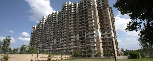 Sobha Amethyst