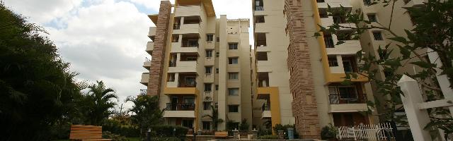 Sobha Sunflower