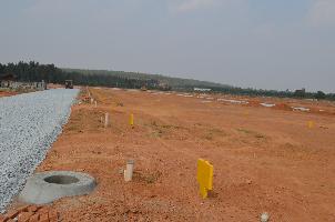 Bhoomika Wood Ridge County