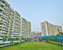 Kolte Patil Three Jewel Moonstone