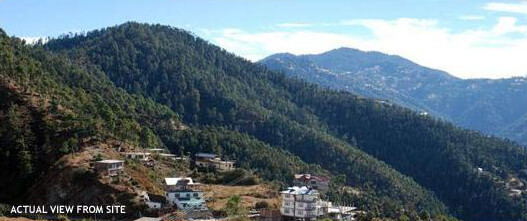 Campton Estate, Shimla - 1BHK & 2BHK Apartments