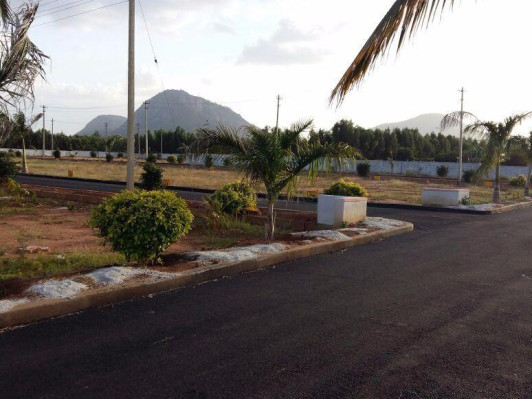 Oxygen County, Hyderabad - Residential Plot
