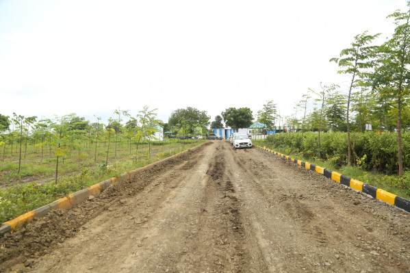 Valluru-Narayankhed, Sangareddy - Farm Land
