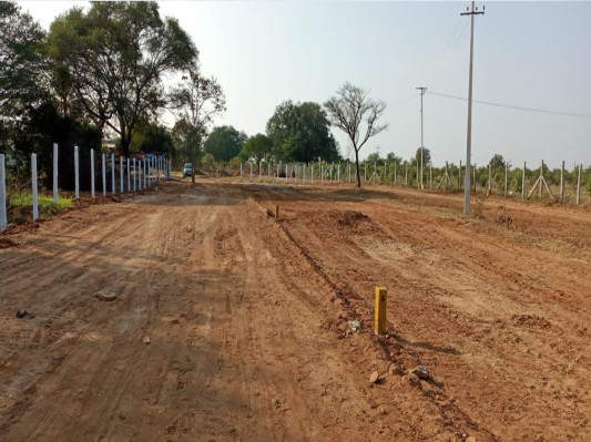 OAK WOOD, Hyderabad - Farm Land