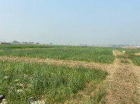 Punchmurti Harit Valley