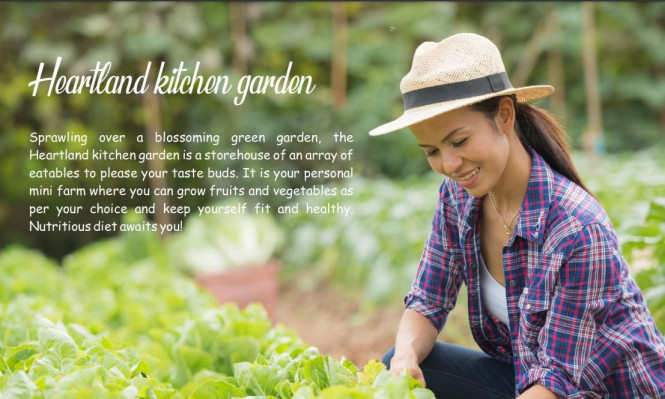 Heartland Hills and Farms, Pune - 2/3 BHK Farm House