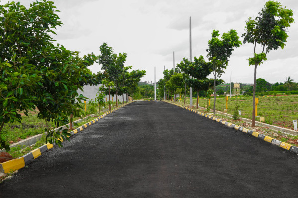 Gardenia Phase II, Kurnool - Residential Plots