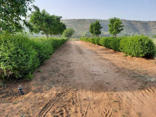 Nature View Farms, Gurgaon - Farm Land