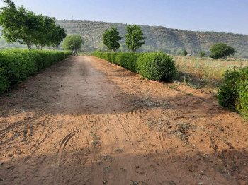 Nature View Farms