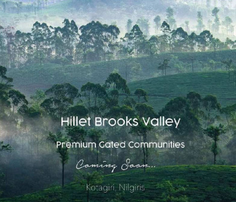Hillet Brooks Valley, Ooty - Hillet Brooks Valley