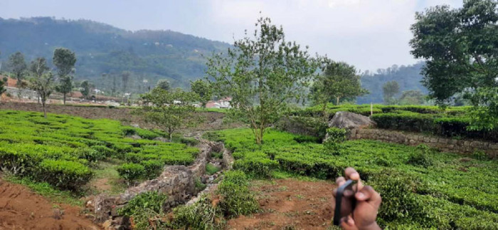 Hillet Brooks Valley in Kotagiri, Ooty - RealEstateIndia.Com