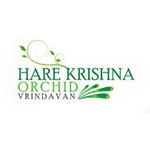 Hare Krishna Orchid
