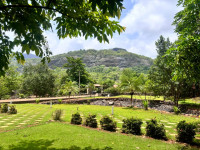 The Sun Valley Farm