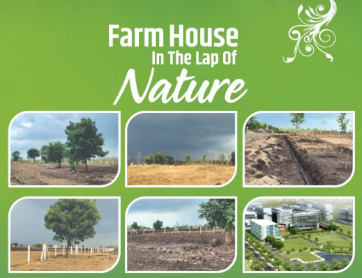 RD Empire Forest Farm, Indore - Farm House Land