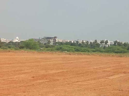 Sadha Garden, Tiruchirappalli - Sadha Garden
