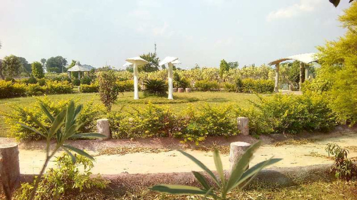 Dream City, Vidisha - Dream City