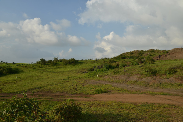 Subhadra Pastures, Nashik - Subhadra Pastures