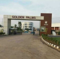 Golden Palm Society
