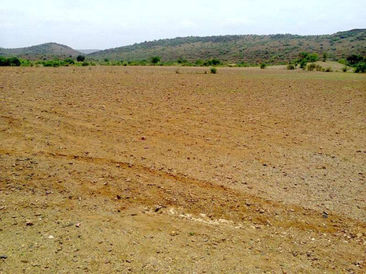 Ansal Sushant Apartment, Gurgaon - Ansal Sushant Apartment