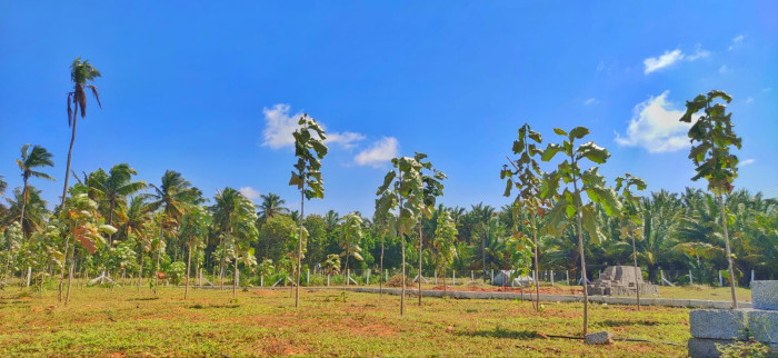 Metro Teak Park, Coimbatore - Farm Land