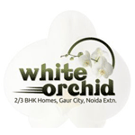 White Orchid