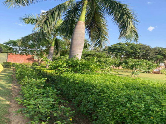 Vatika Green Farm, Faridabad - Vatika Green Farm