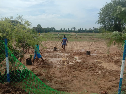 Manvasanai Fram Land, Chennai - Farm Land