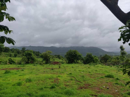 The Village Farm, Raigad - The Village Farm