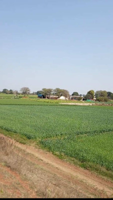 Maa Bhavani Farmhouse, Shivpuri - Maa Bhavani Farmhouse
