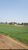 Maa Bhavani Farmhouse
