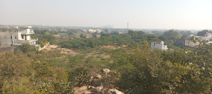 MS Group Dream City, Faridabad - Residential Plots