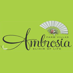 Ambrosia