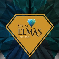 Spring Elmas