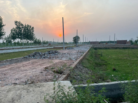 Madhuvan Farms, Krishnagiri - Agriculture Farm Land