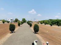Gulmohar Park