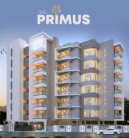The Primus