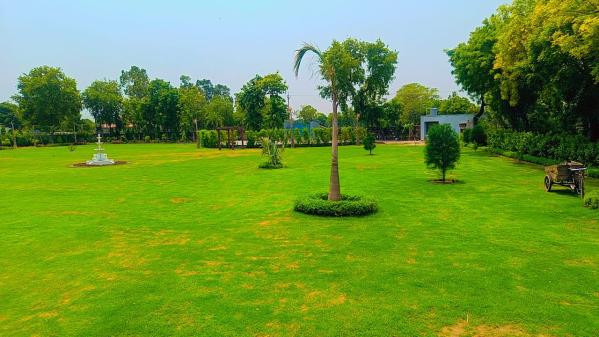 Dlf Spring Field, Gurgaon - Farm Land