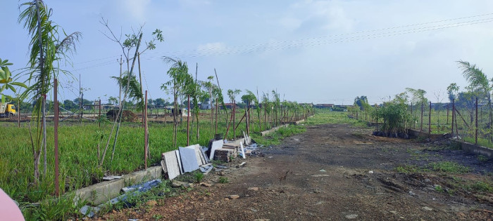 Banjari Nursery Farms, Indore - Farm Land