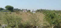 Balaji City
