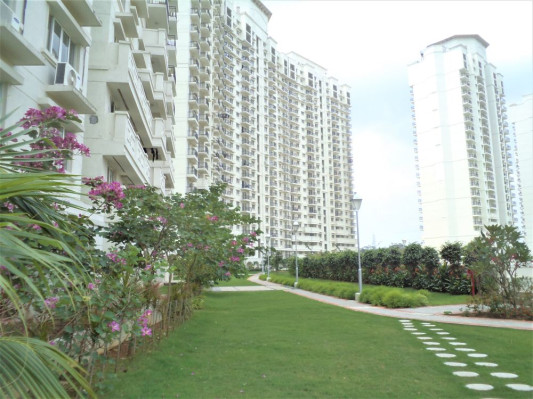 Dlf New Town Heights, Kochi - 2/3/4 BHK Apartments