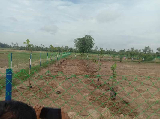 Manvasanai From Land, Chennai - Farms Land