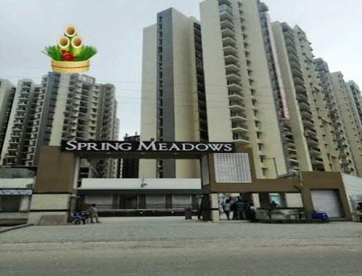Pigeon Spring Meadows, Greater Noida - 1/2/3/4 BHK Apartments