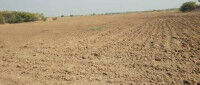 Rathore Krishi Farm