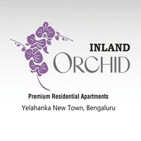 Inland Orchid