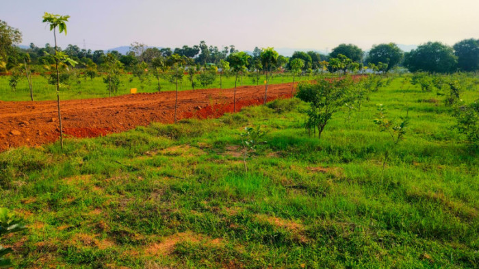Sri Sai Krishna Chandanavanam, Visakhapatnam - Farms Land