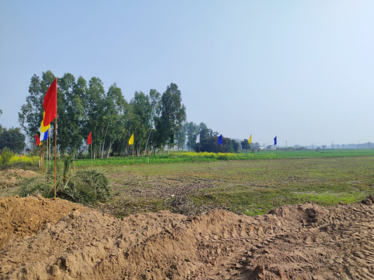 Mulberry Greens, Mohali - Residential Plots