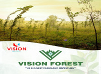 Vision Forest