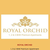 Royal Orchid
