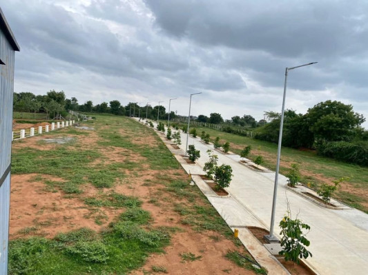 Ace Arcadia, Hyderabad - Residential Plots