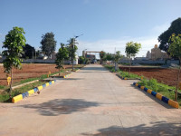 Nandi Garden